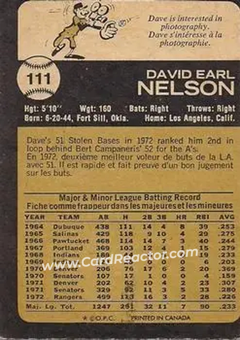 Back of Dave Nelson