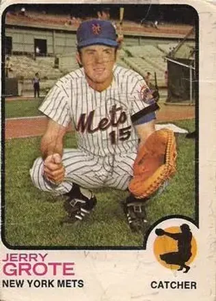 1973 O-Pee-Chee #113 Jerry Grote