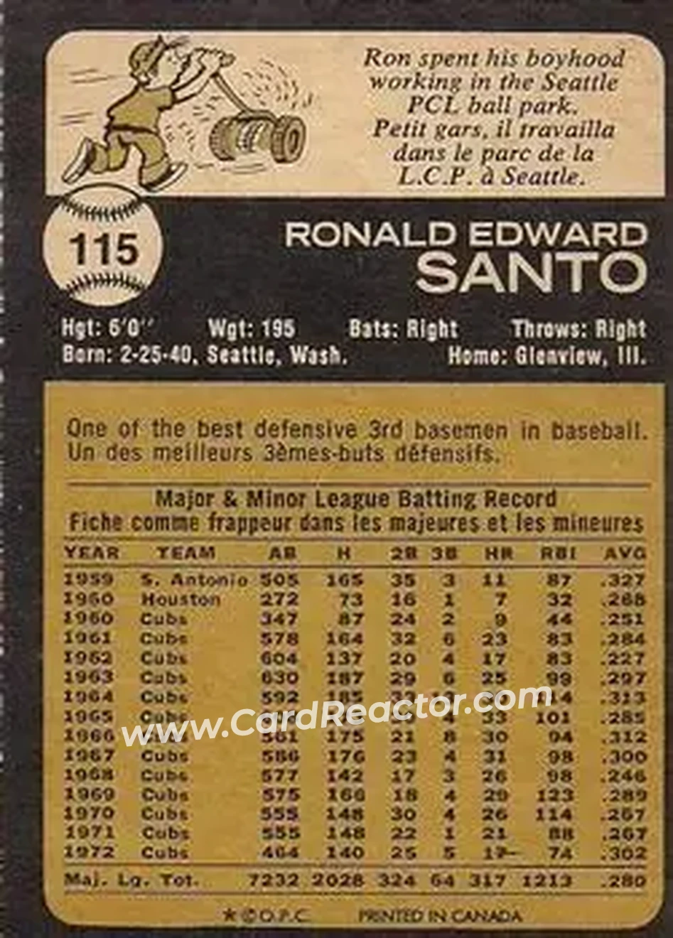 Back of Ron Santo