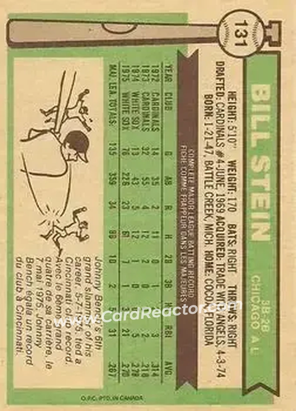 Back of Bill Stein