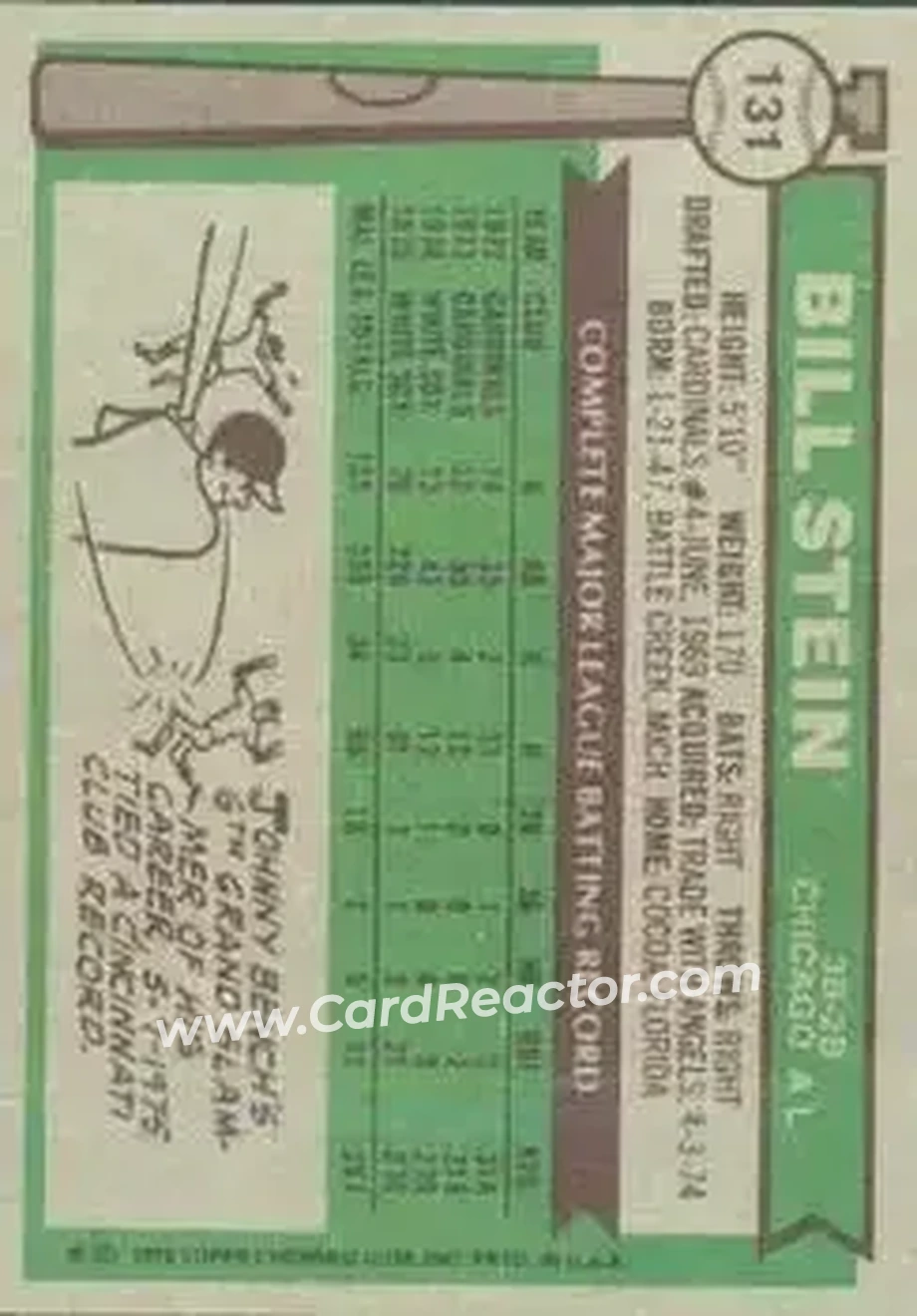 Back of Bill Stein