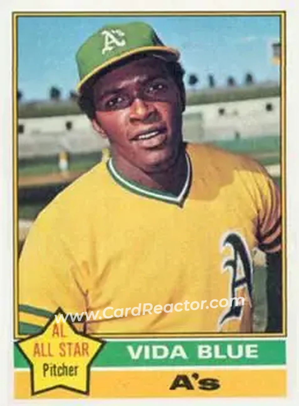 Front of Vida Blue