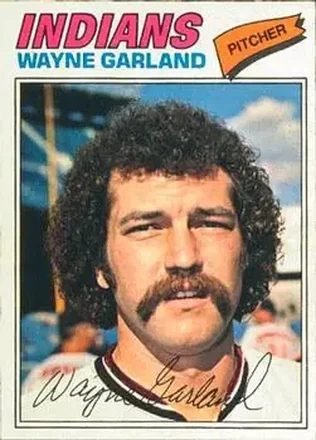 1977 O-Pee-Chee #138 Wayne Garland