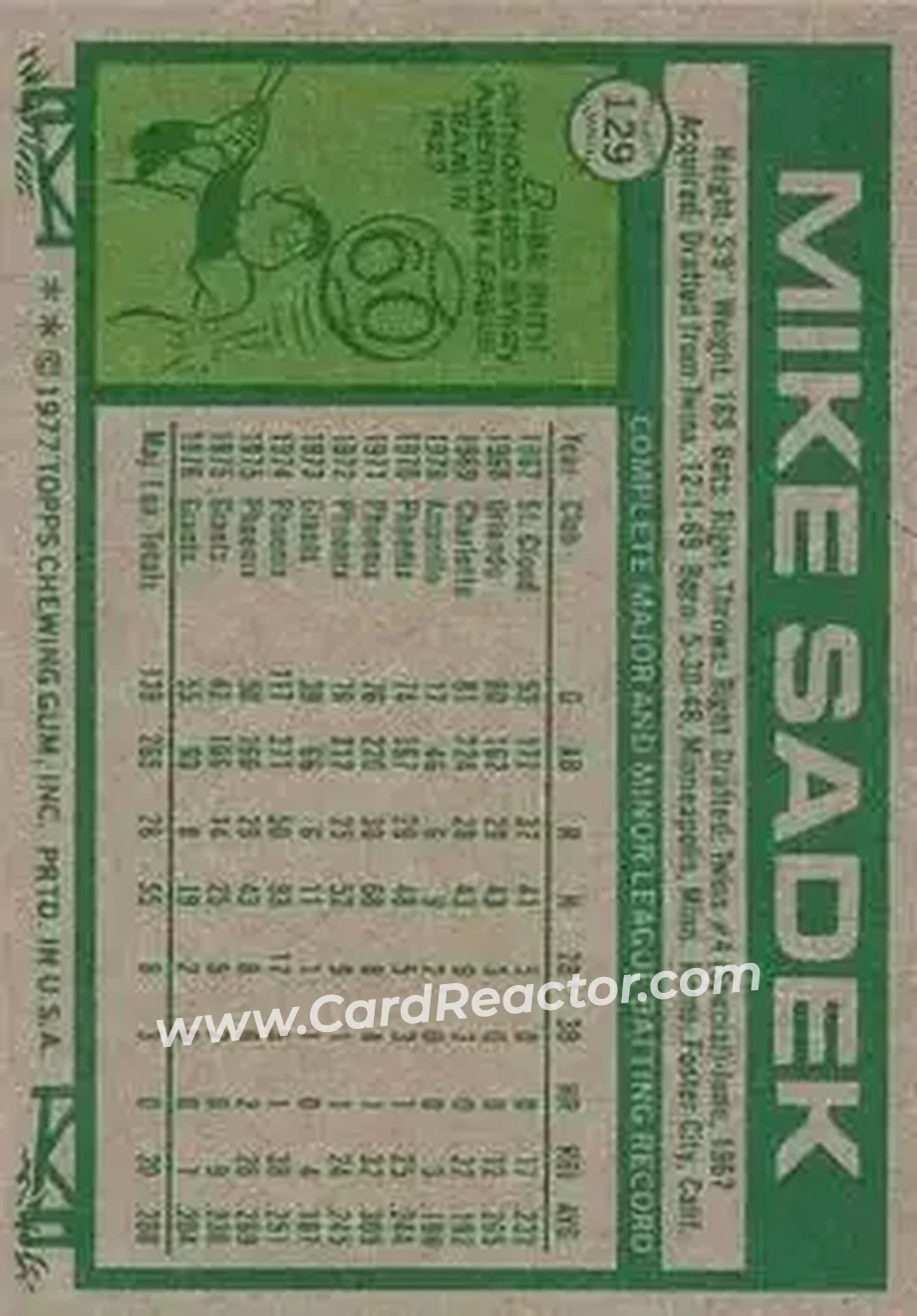 Back of Mike Sadek