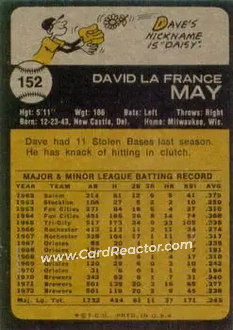 Back of Dave May