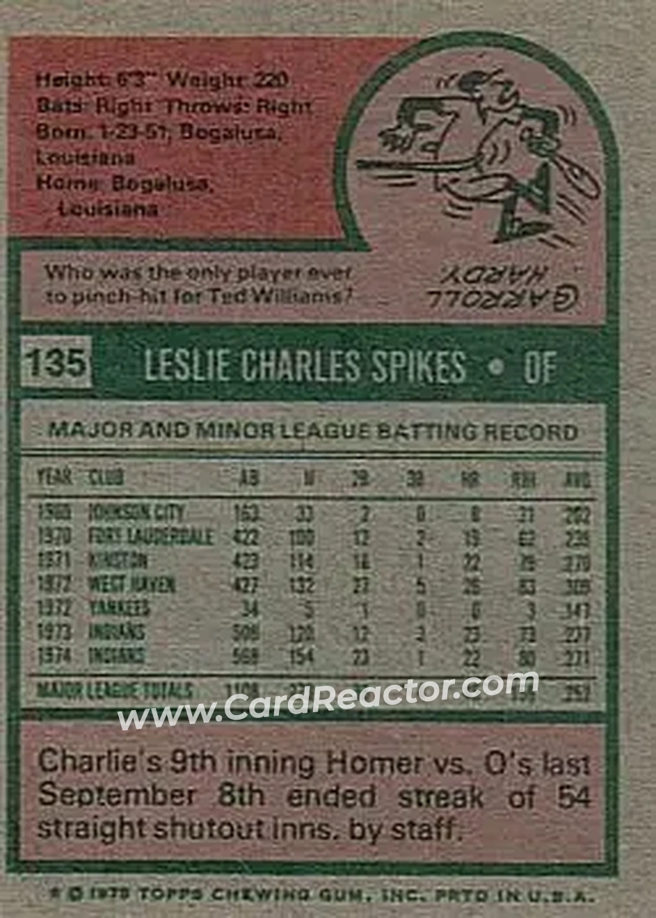 Back of Charlie Spikes