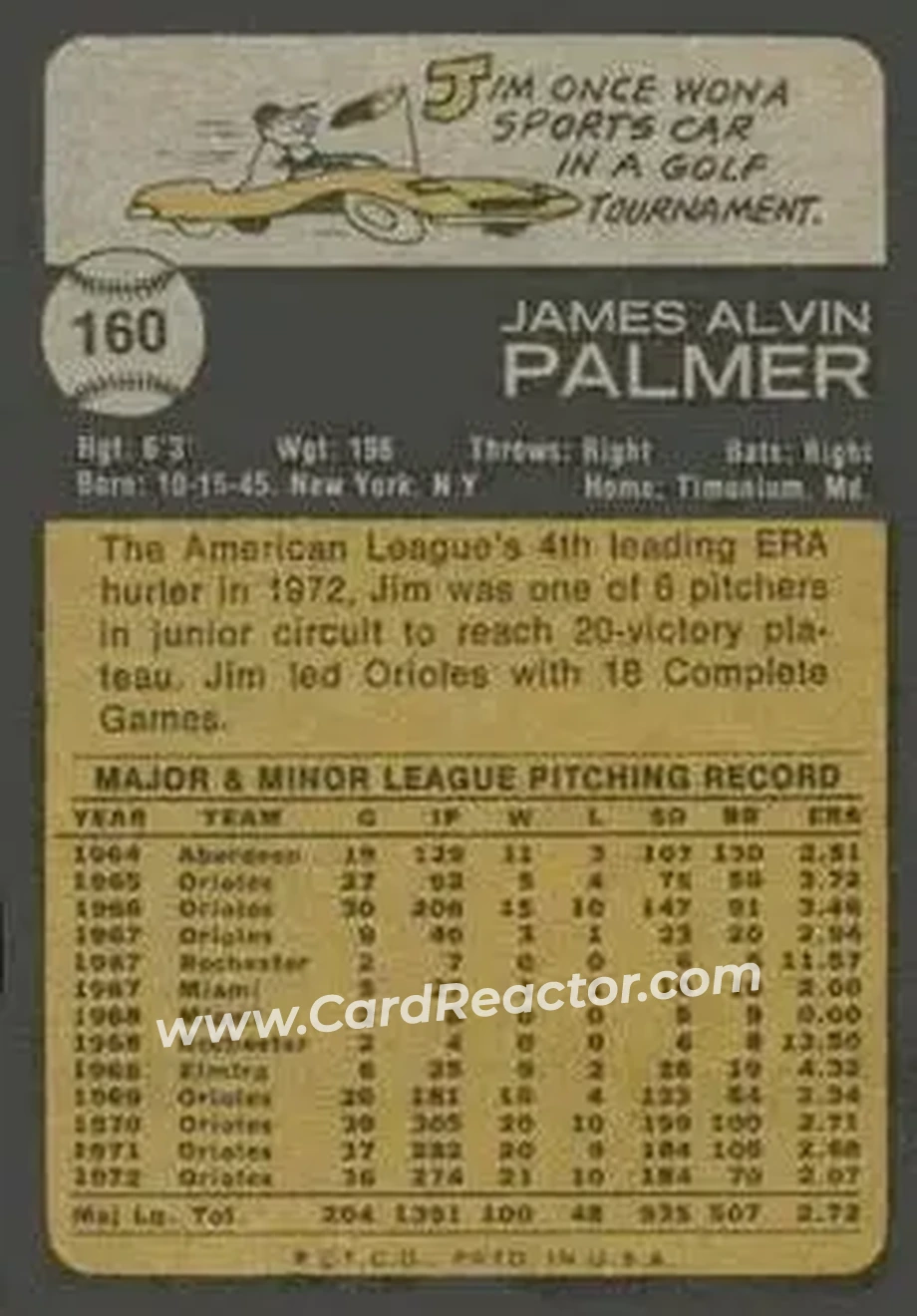 Back of Jim Palmer