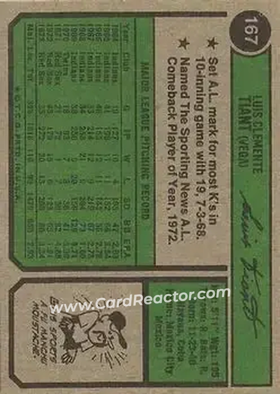 Back of Luis Tiant