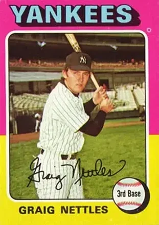 1975 Topps #160 Graig Nettles
