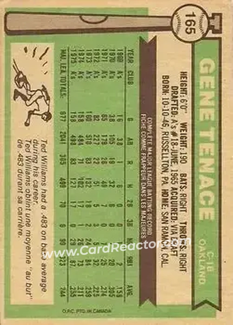 Back of Gene Tenace