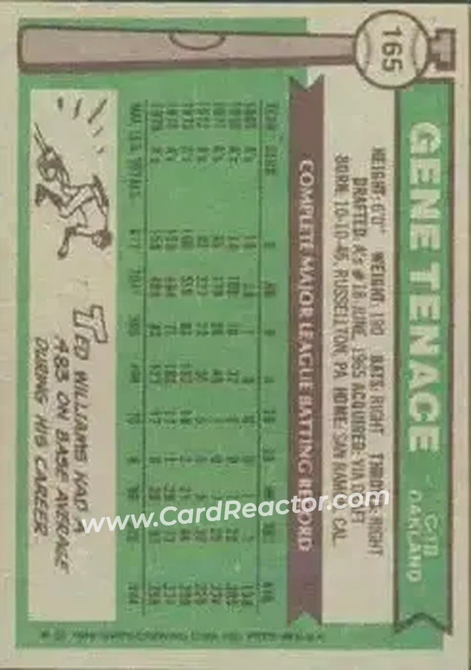 Back of Gene Tenace