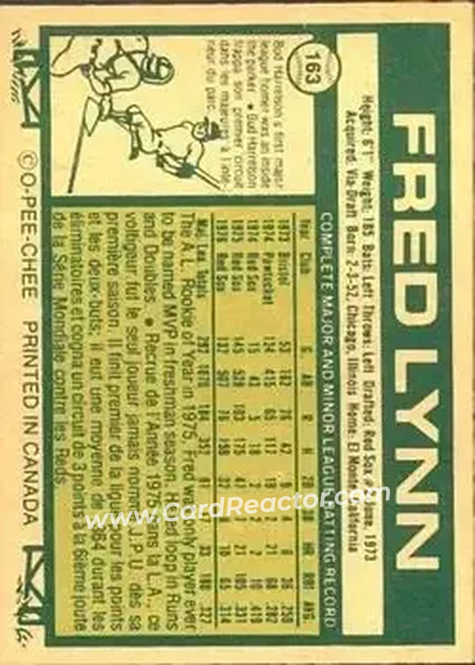Back of Fred Lynn