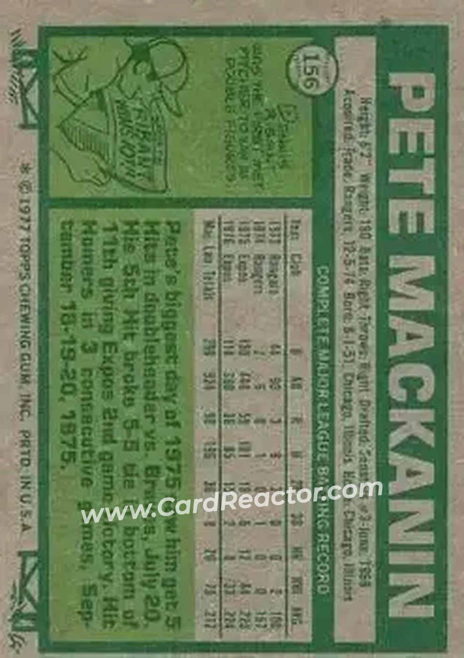 Back of Pete Mackanin
