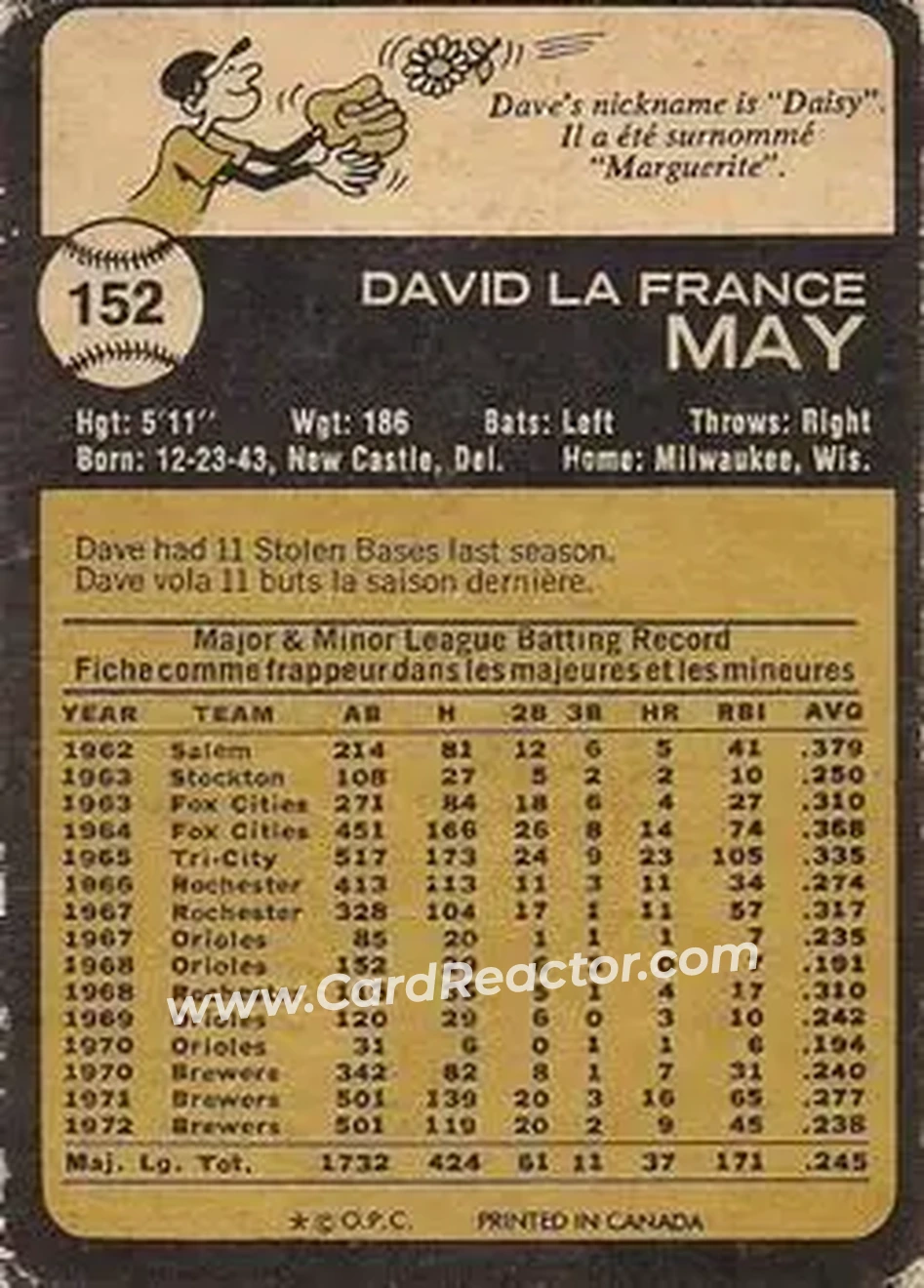 Back of Dave May