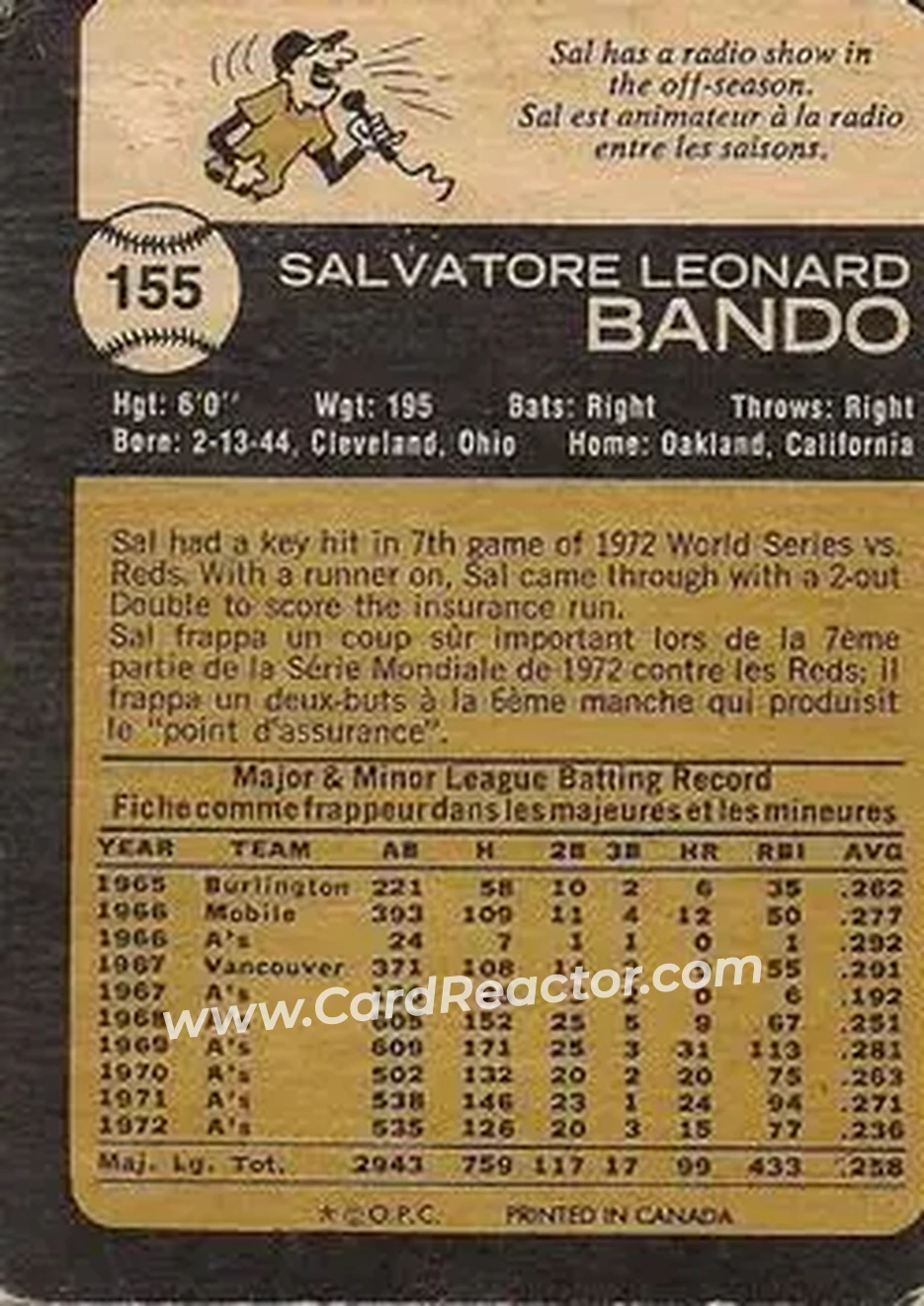 Back of Sal Bando