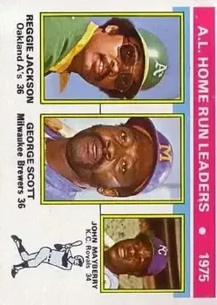 1976 Topps #194 Card #194