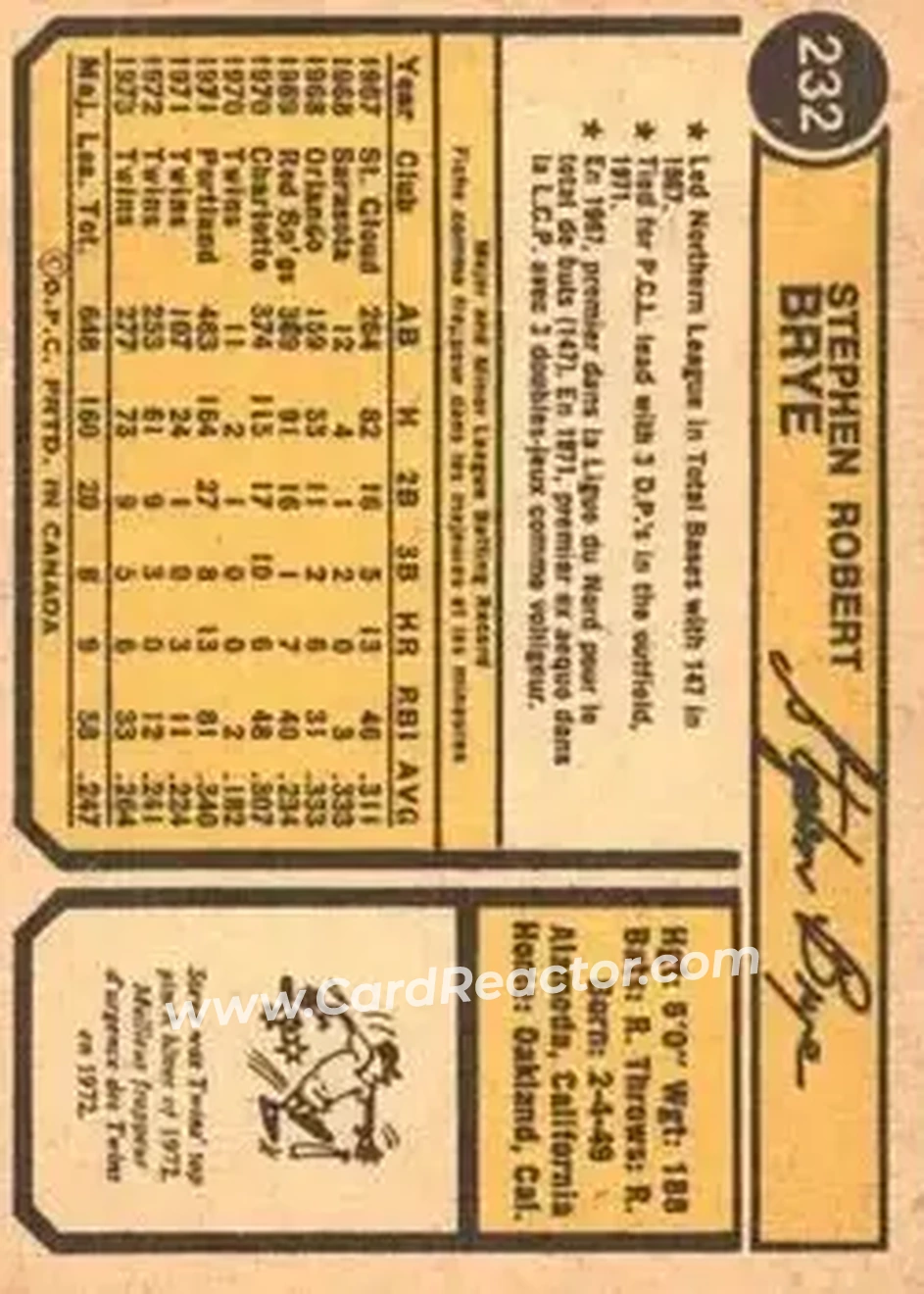 Back of Steve Brye