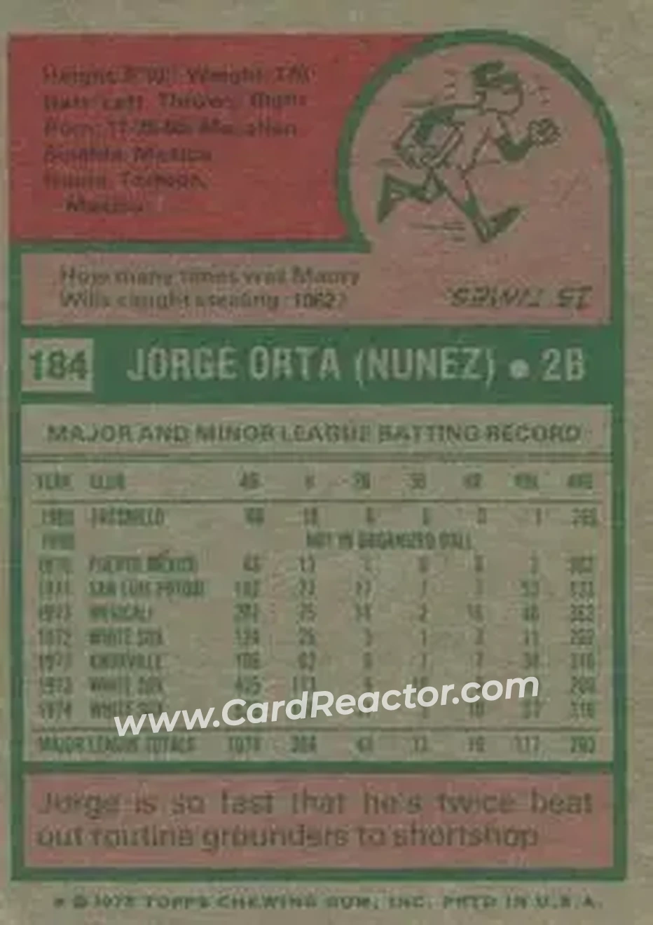 Back of Jorge Orta