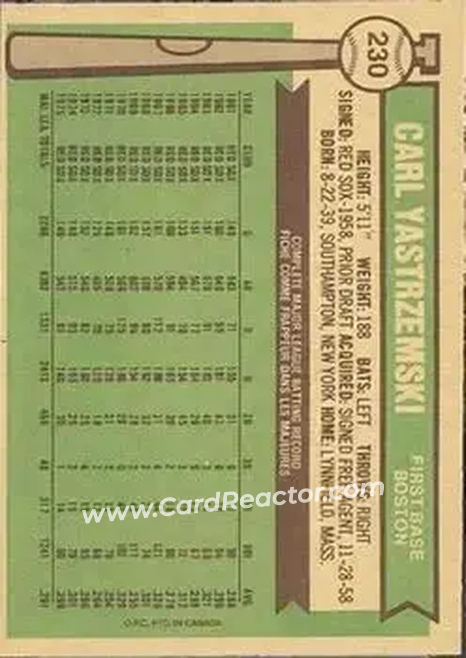 Back of Carl Yastrzemski