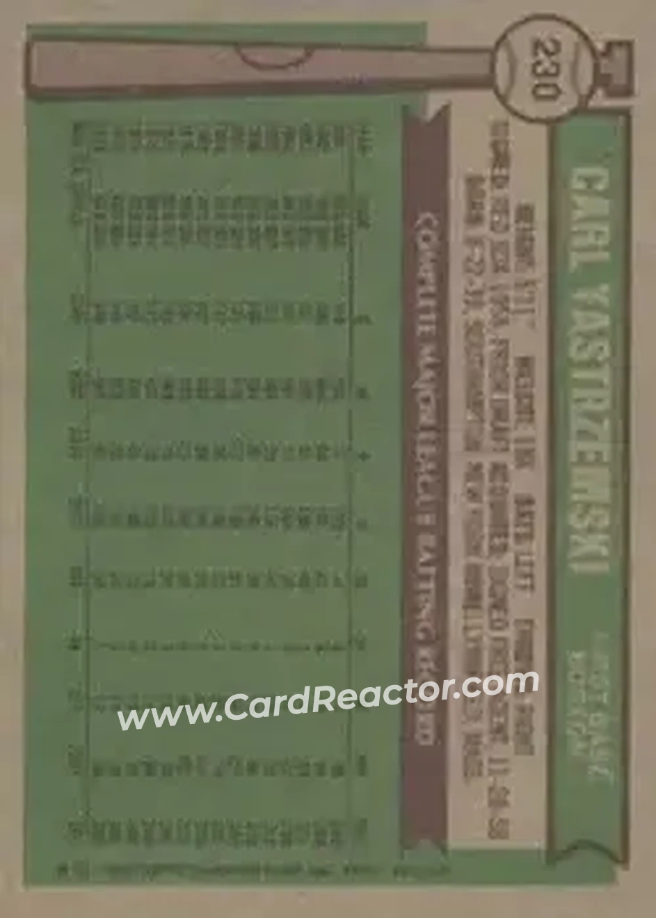 Back of Carl Yastrzemski