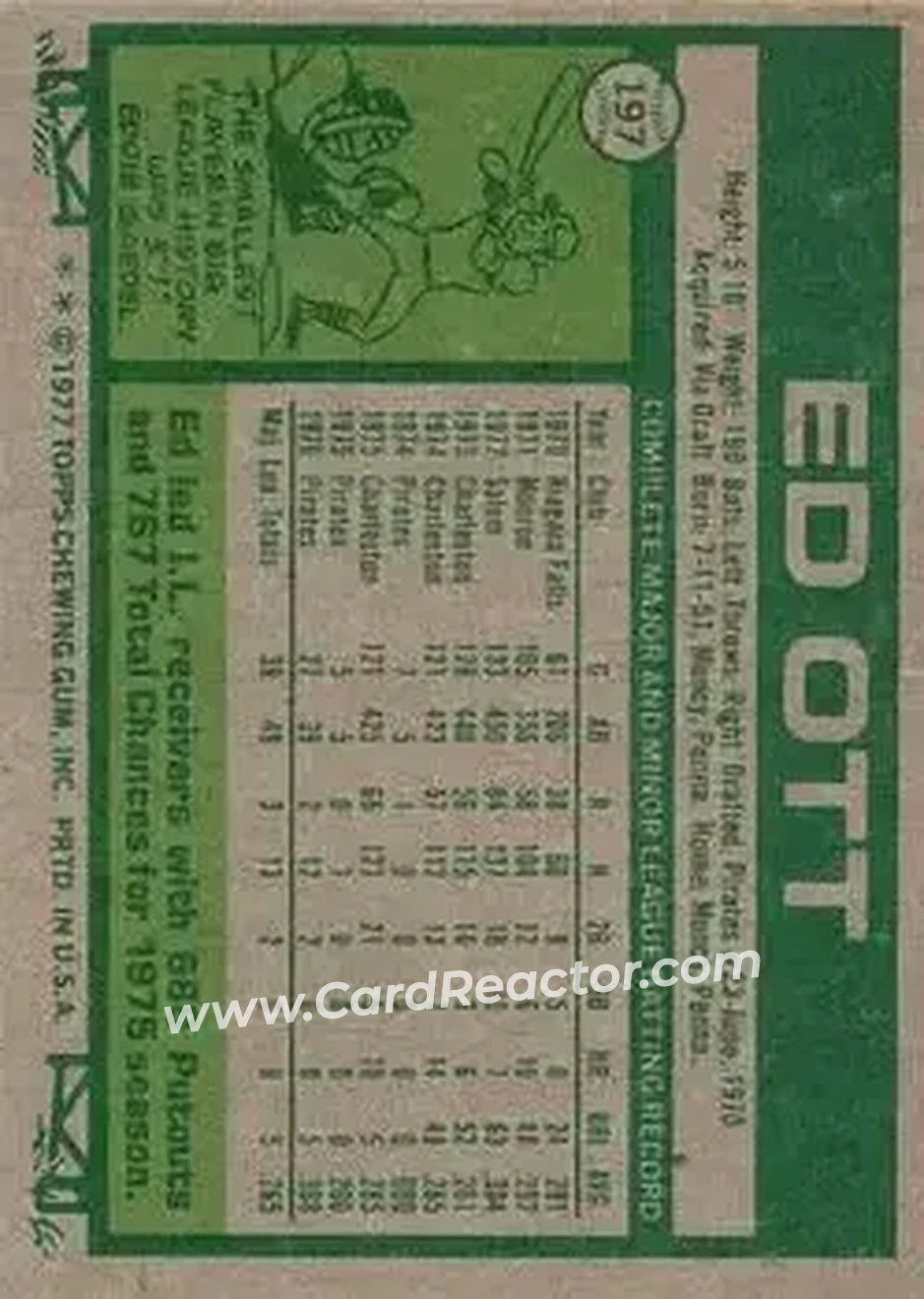 Back of Ed Ott