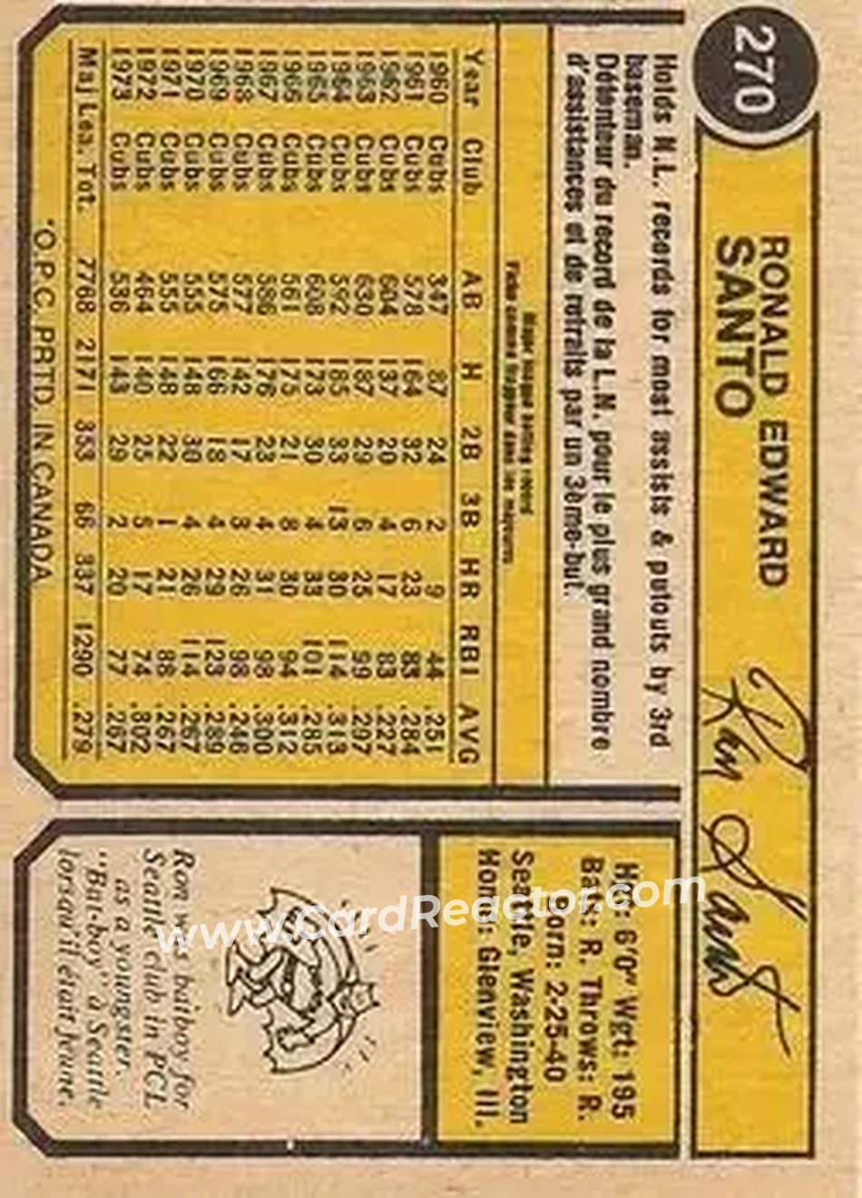 Back of Ron Santo