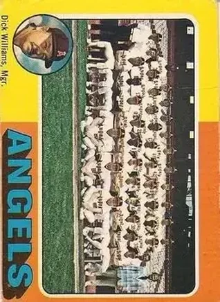 1975 O-Pee-Chee #236 Card #236