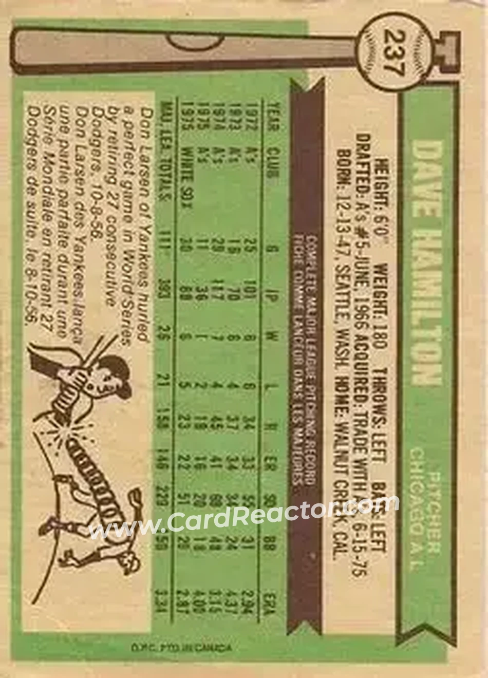 Back of Dave Hamilton
