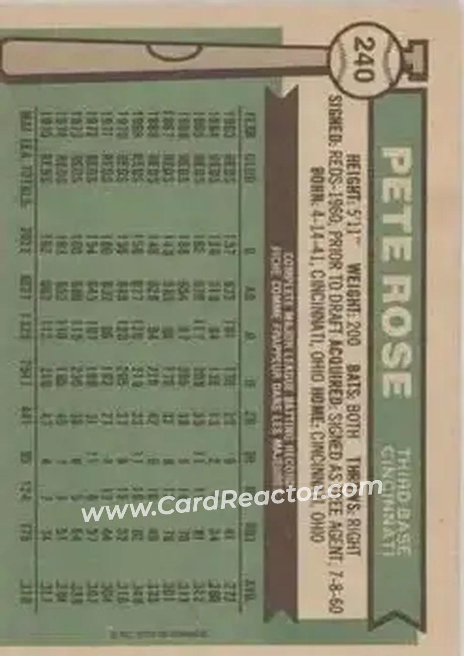 Back of Pete Rose
