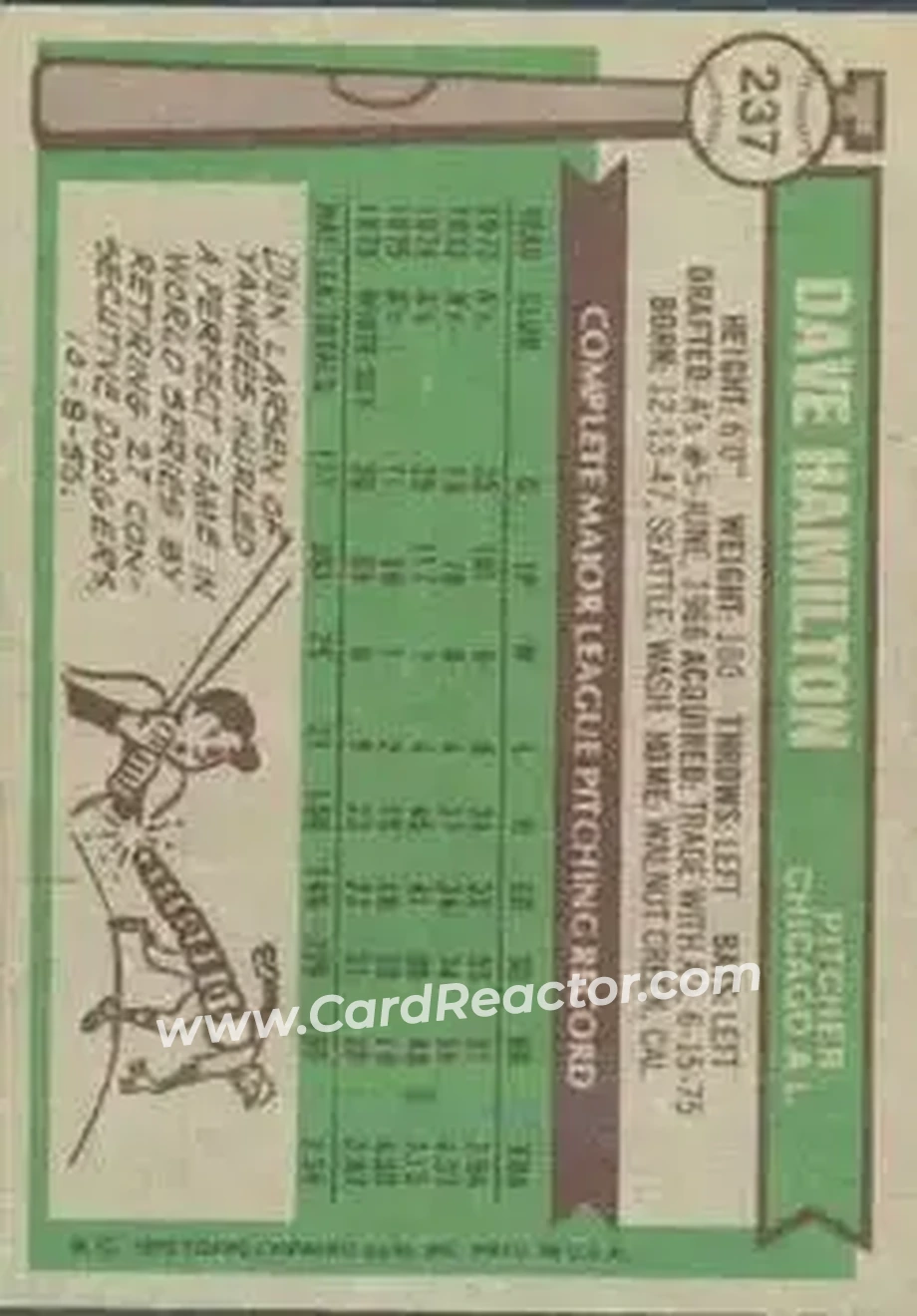 Back of Dave Hamilton