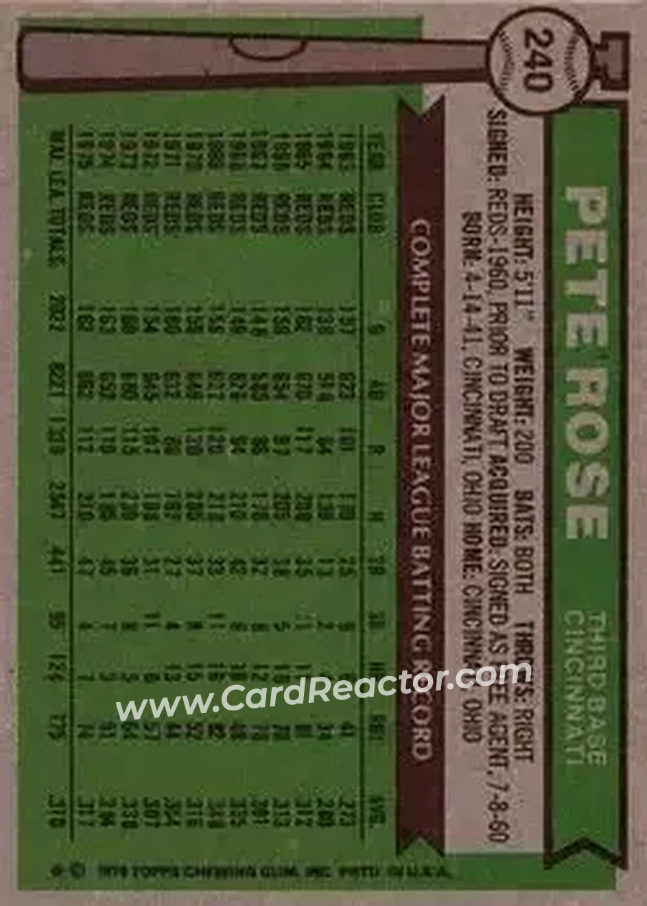 Back of Pete Rose