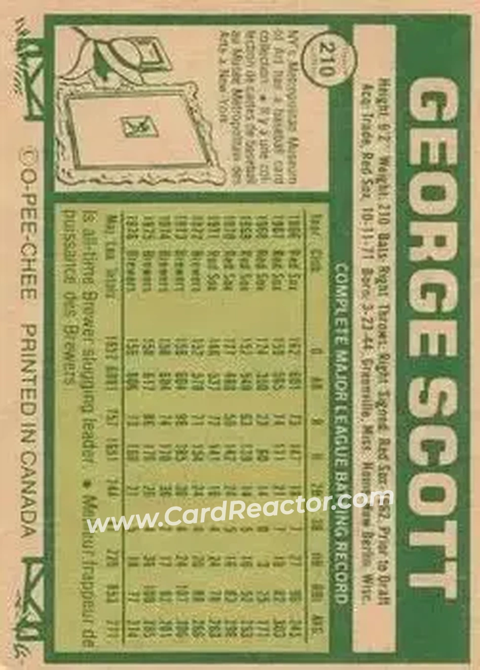Back of George Scott