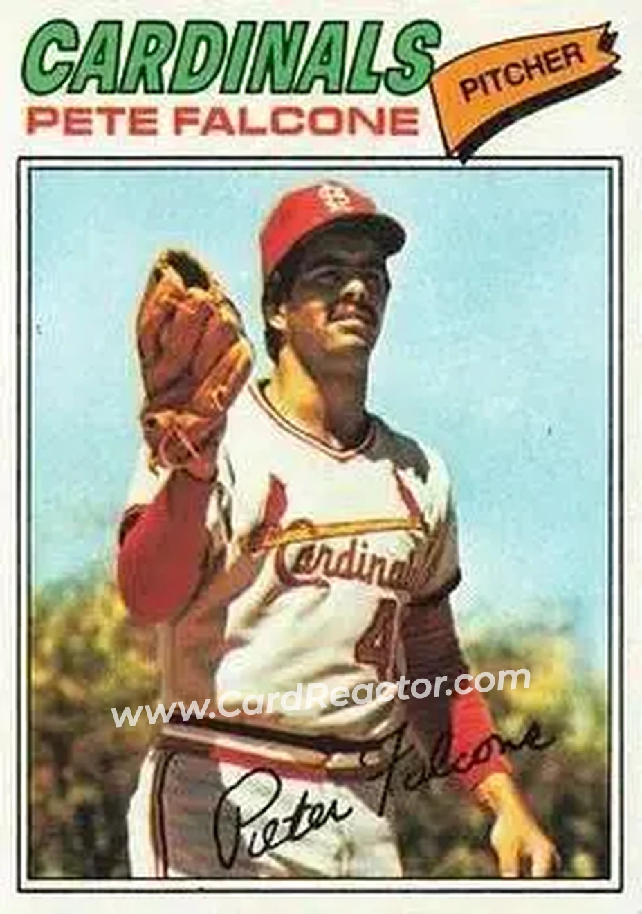 1977 Topps #205 Pete Falcone