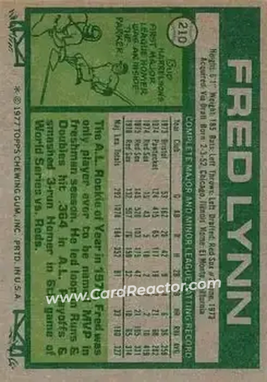 Back of Fred Lynn