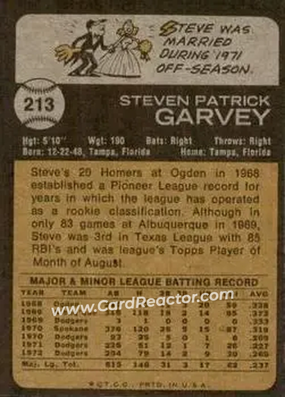 Back of Steve Garvey
