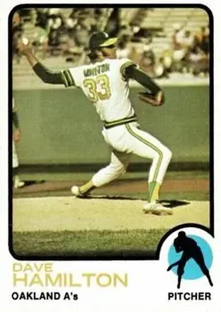 1973 Topps #214 Dave Hamilton