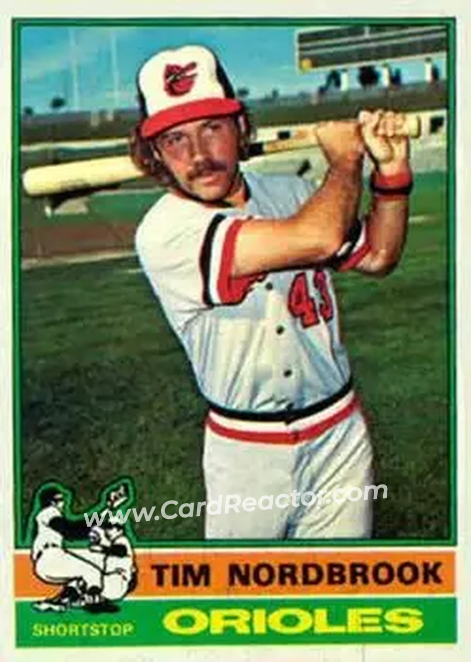 1976 Topps #252 Tim Nordbrook