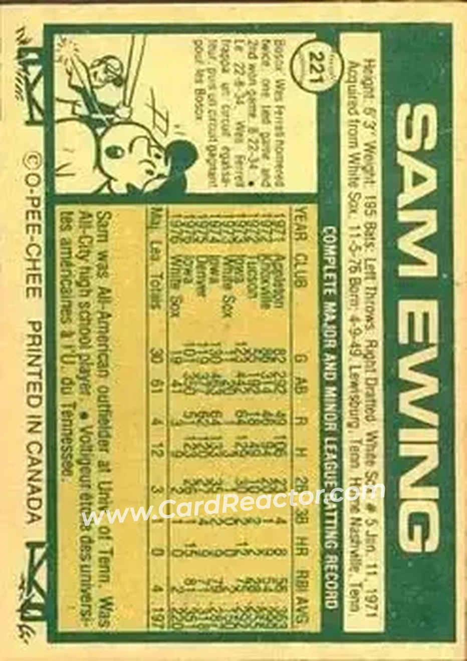 Back of Sam Ewing