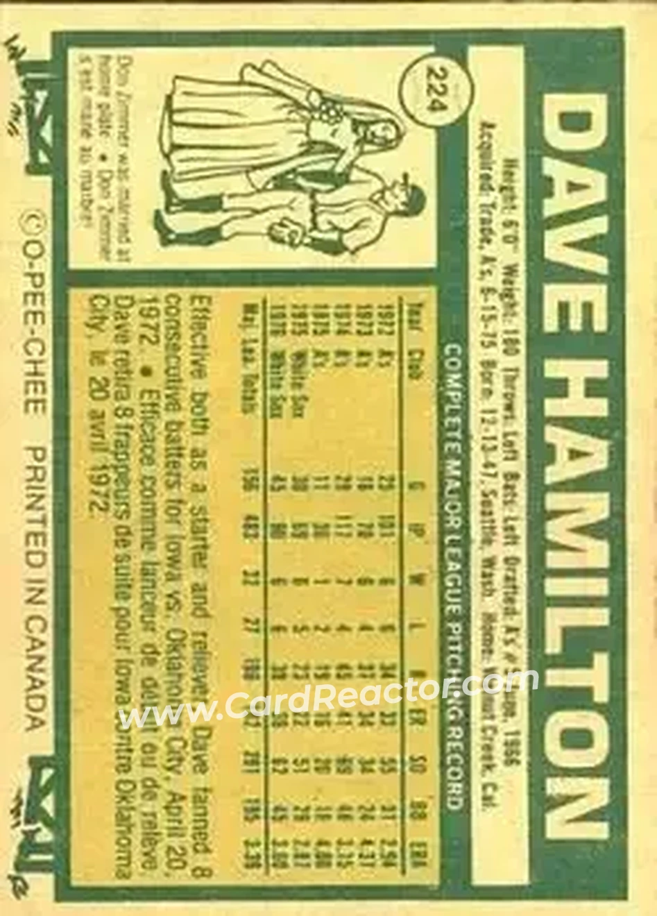 Back of Dave Hamilton