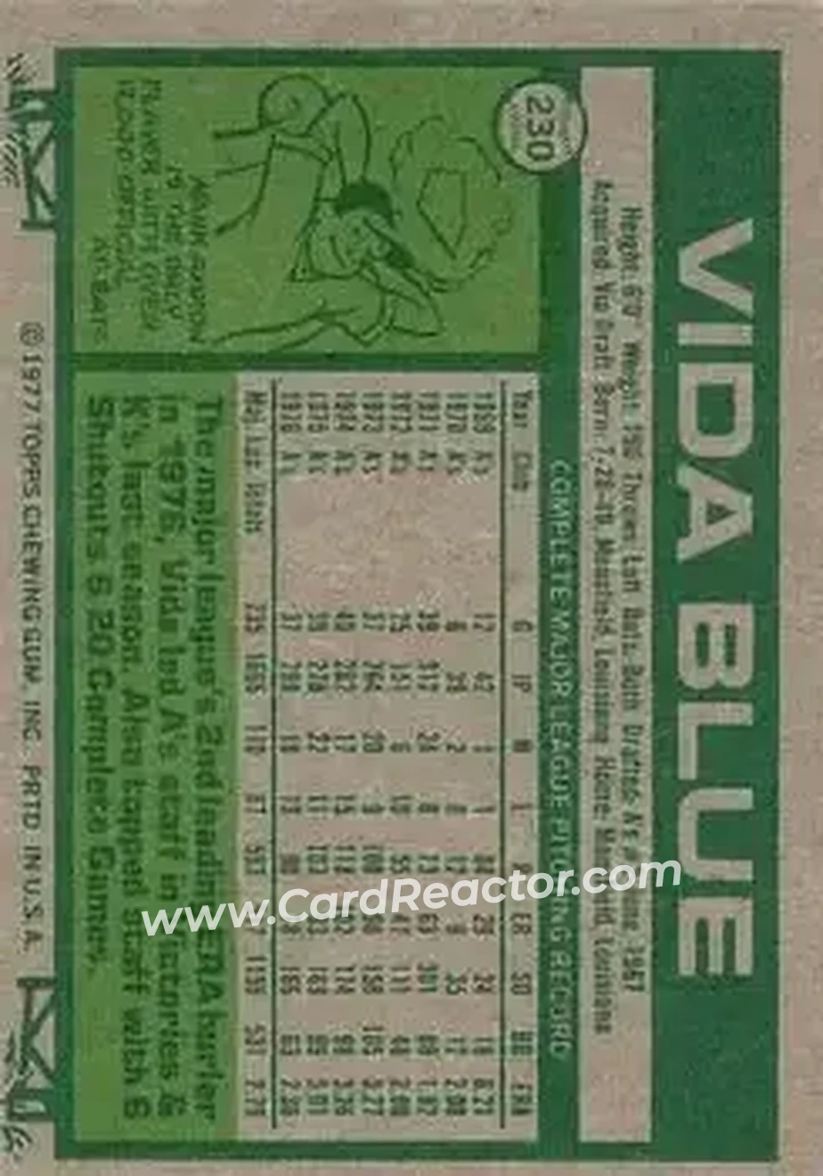 Back of Vida Blue