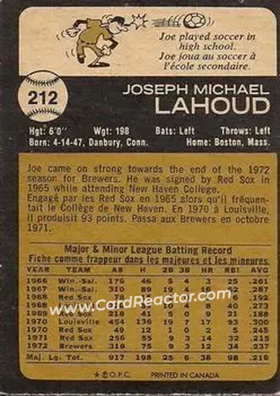 Back of Joe Lahoud