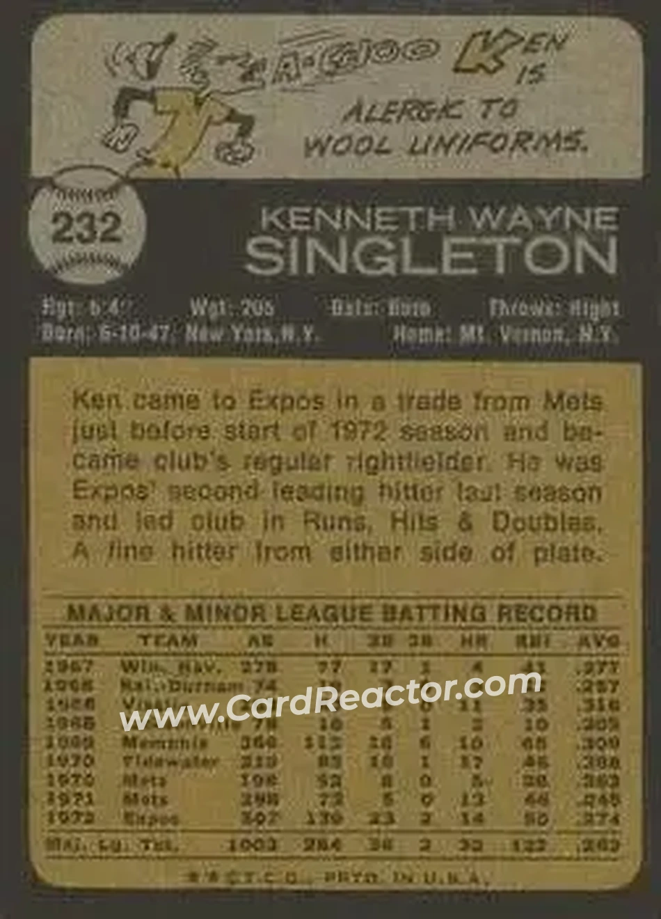 Back of Ken Singleton