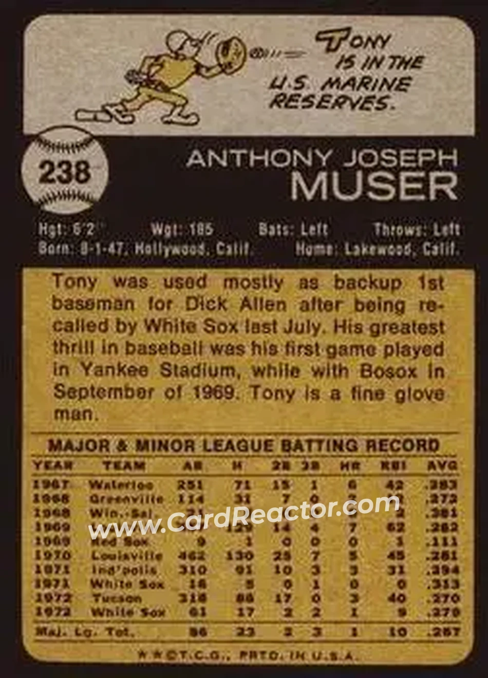 Back of Tony Muser