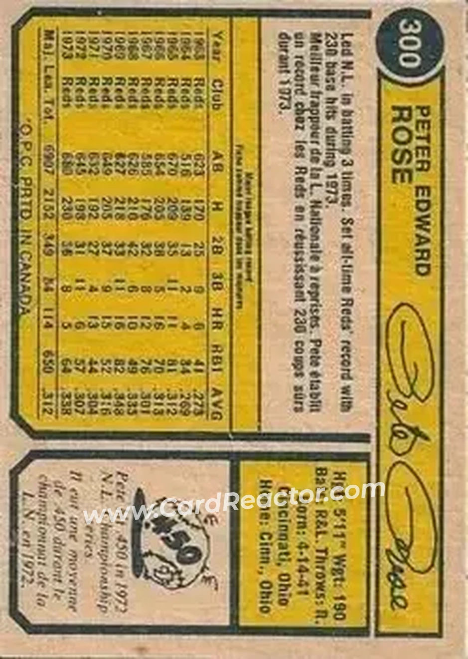 Back of Pete Rose