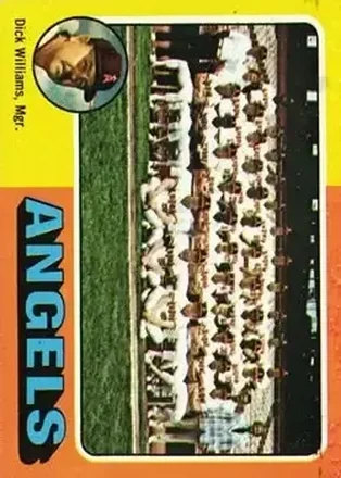 1975 Topps #236 Card #236