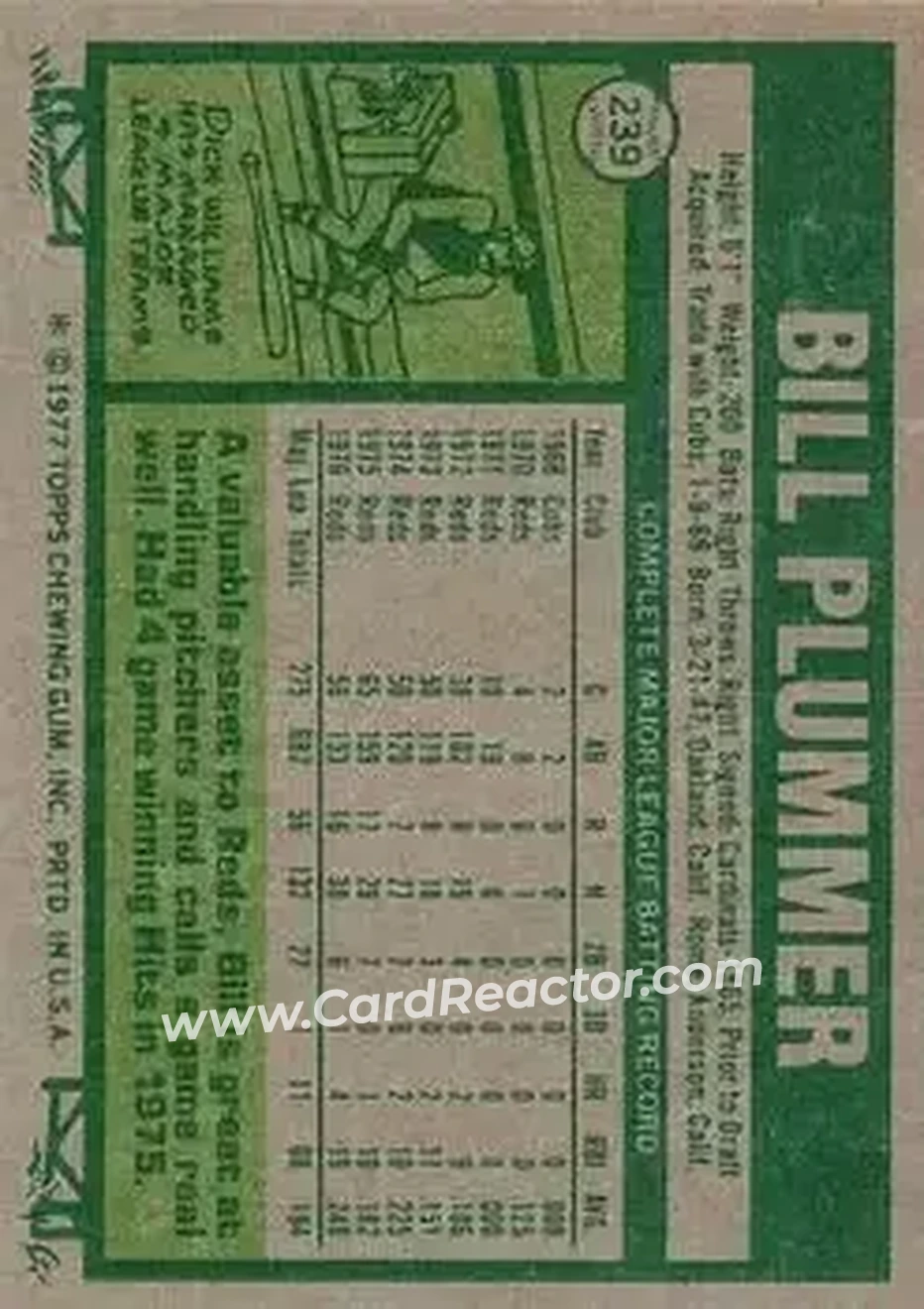 Back of Bill Plummer
