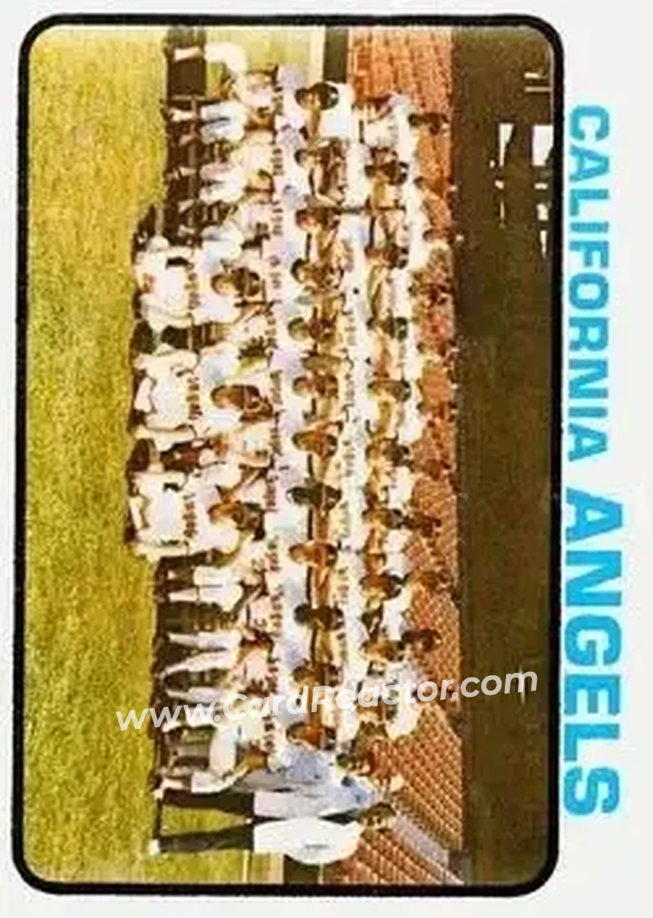 Front of Card #243