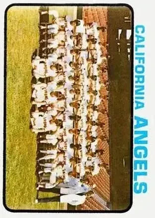 1973 Topps #243 Card #243