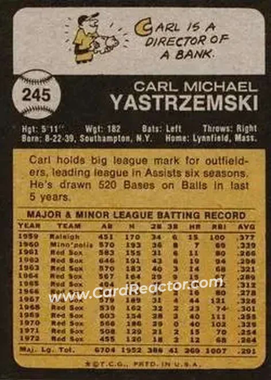 Back of Carl Yastrzemski
