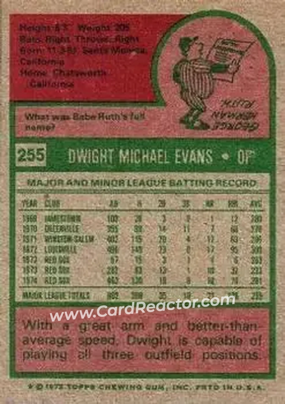 Back of Dwight Evans